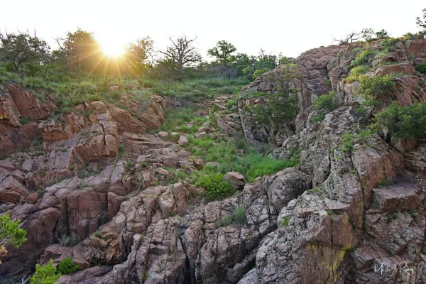 Rocky landscape with green vegetation and trees, with the sun setting in the background.